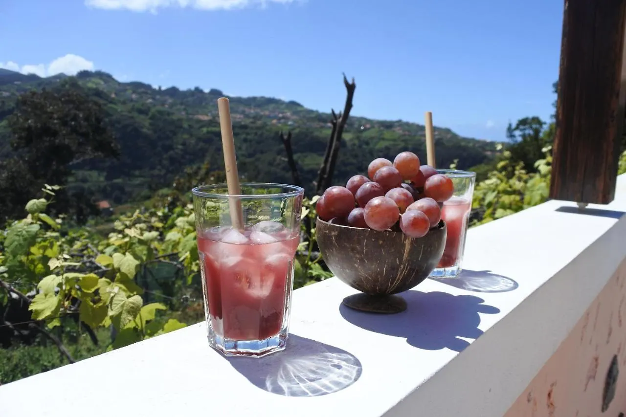 Quintinha Do Alvaro - Holiday House Santana  Santana (Madeira)