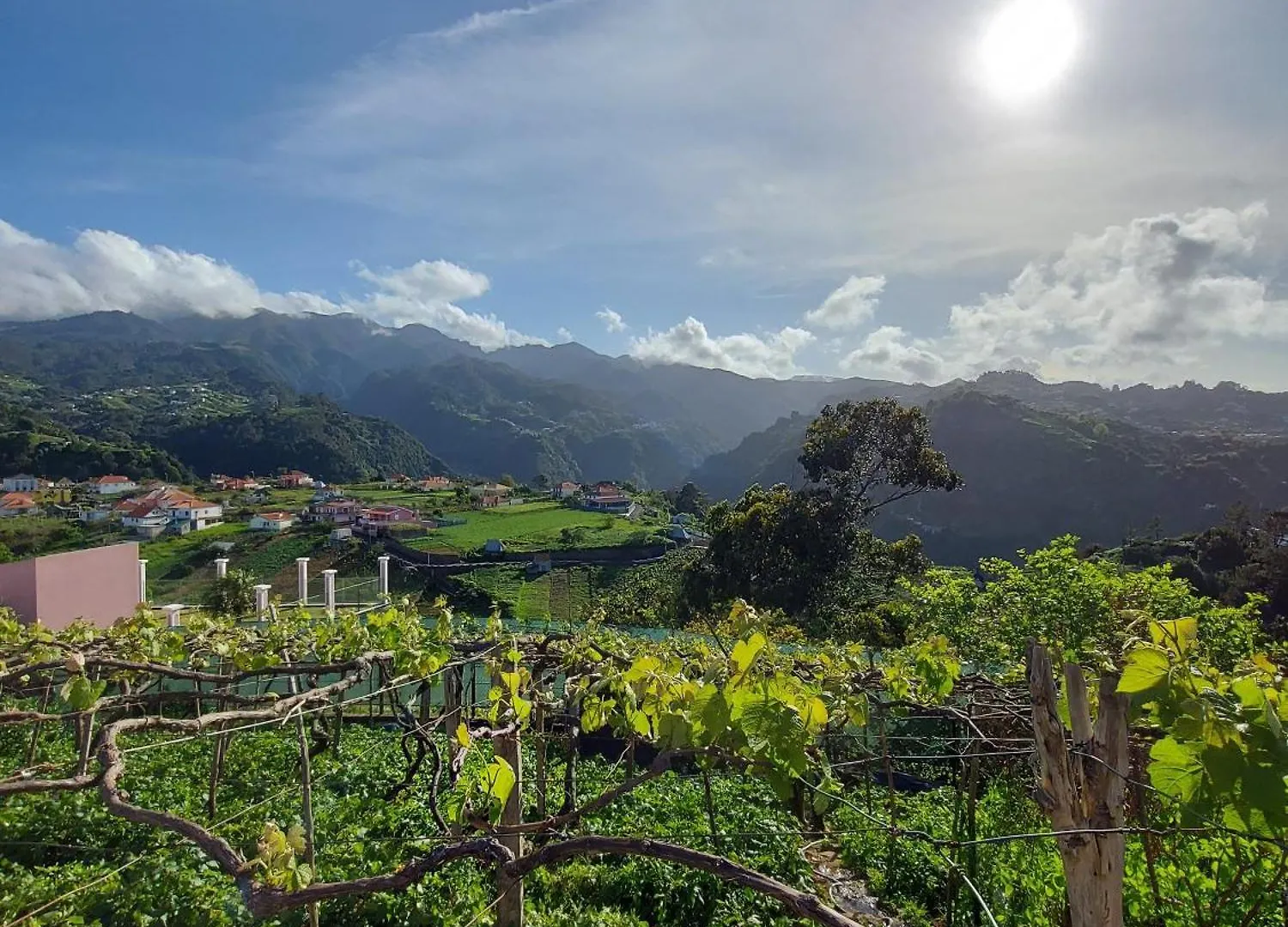 Villa Quintinha Do Alvaro - Holiday House Santana